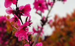 乔合软件库资源网